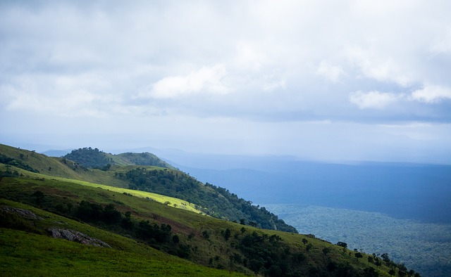 宋凯出席中国体育美术作品展览，与奥运冠军金牌合影