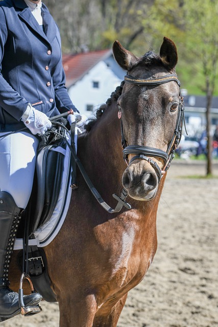 利雅得胜利4-1赛哈特海湾，C罗凌空倒钩破门，菲利克斯传射